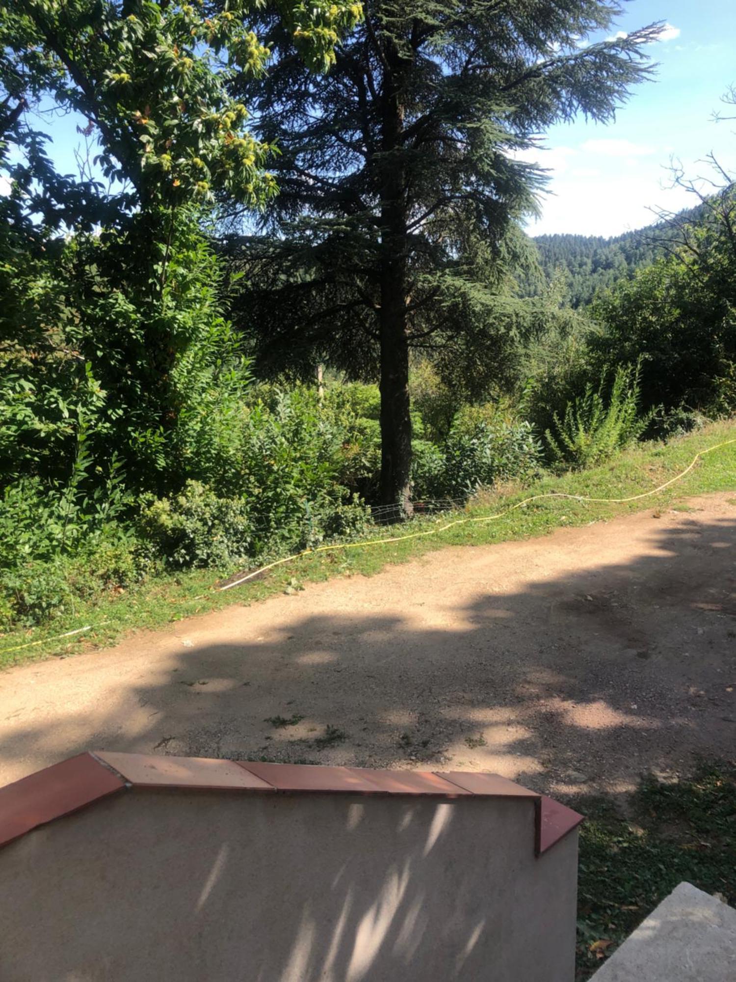 Chambre Dans Les Cevennes Concoules ภายนอก รูปภาพ